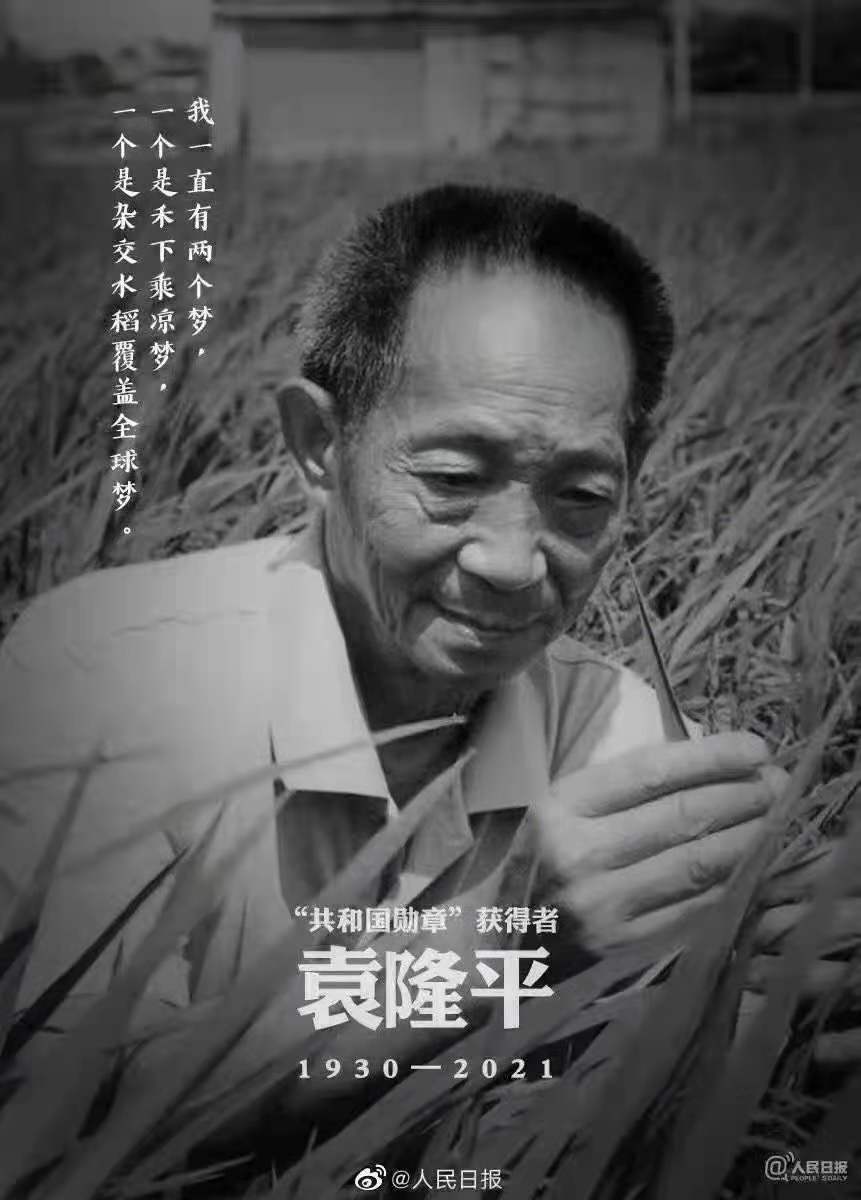 緬懷，國之脊梁——雜交水稻之父